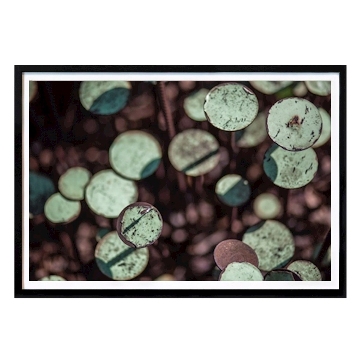 Abstract Poster: The steel flower bed by Eva Thordstein