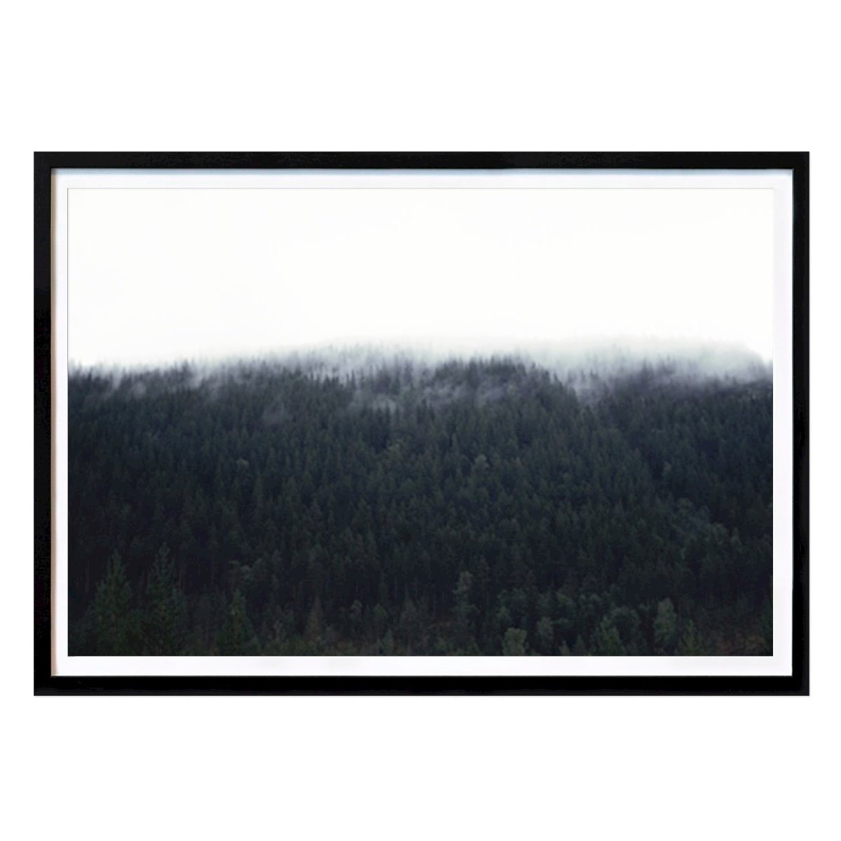 Nature Poster: Dimmornas Dans by Maria Wiktorén