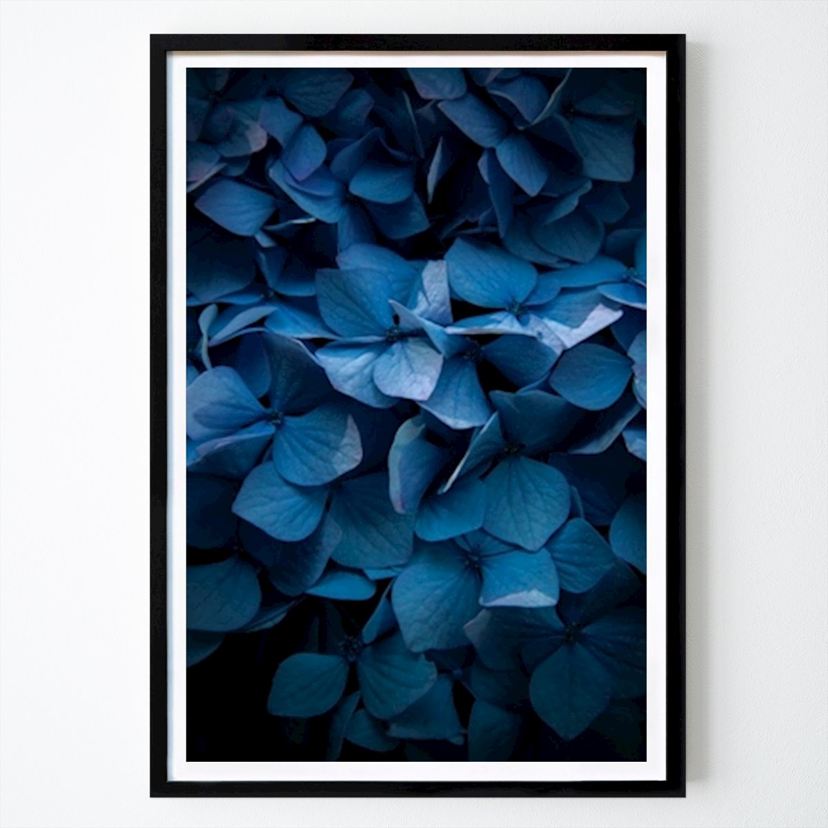 Botanisch Poster: Hortensia blauw van Daniel Nilsson