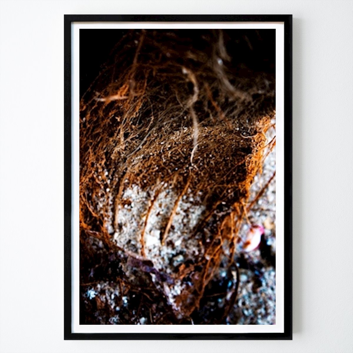 Keuken Poster: Cacao van Your local nordic