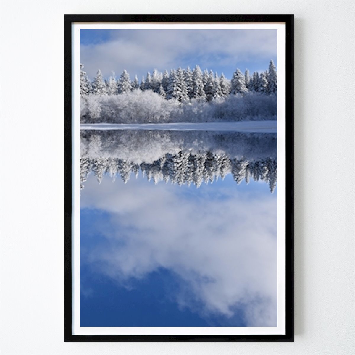 Natur Poster: Første sne på en nåletræsskov av Claude Laprise