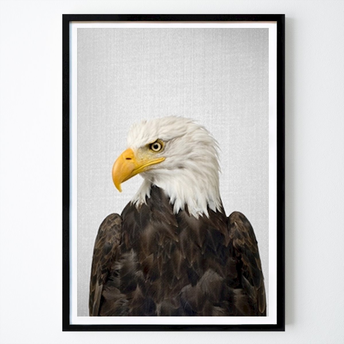 Animal Affiche: Aigle par Gal Pittel