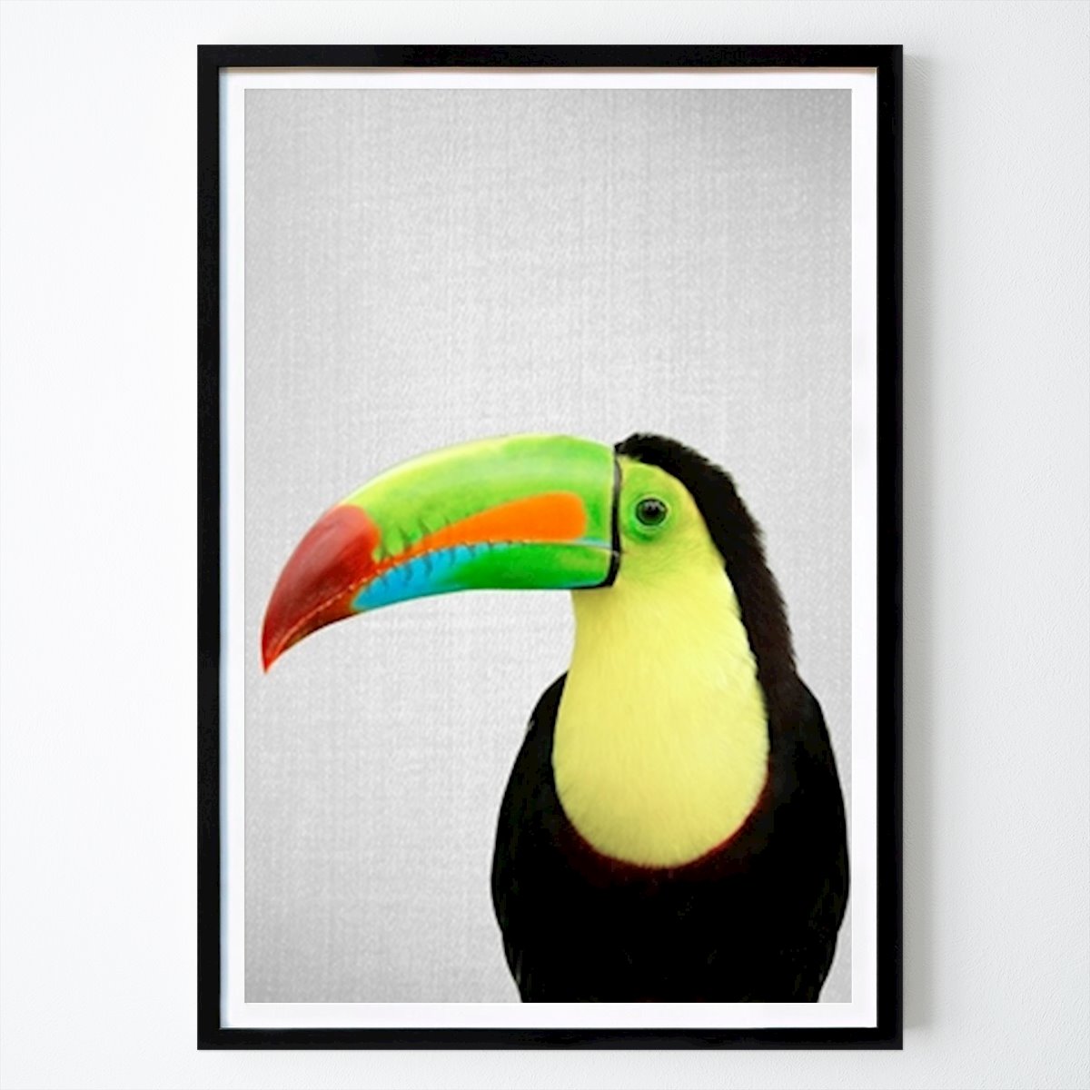 Bambini Poster: Uccello tucano di Gal Pittel