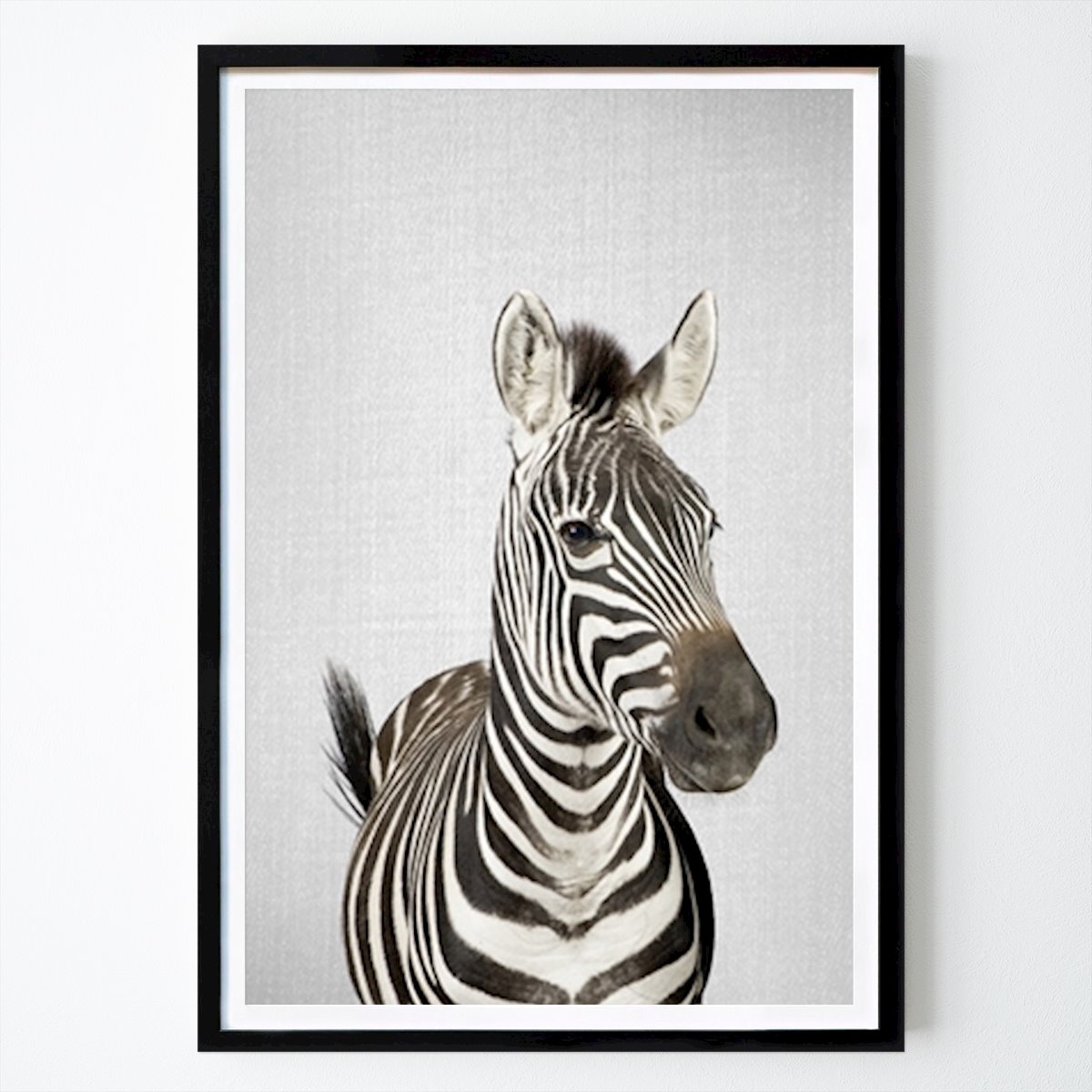 Bambini Poster: Zebra di Gal Pittel