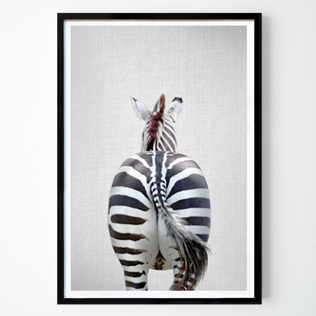 Animals Poster: Zebra Tail by Gal Pittel