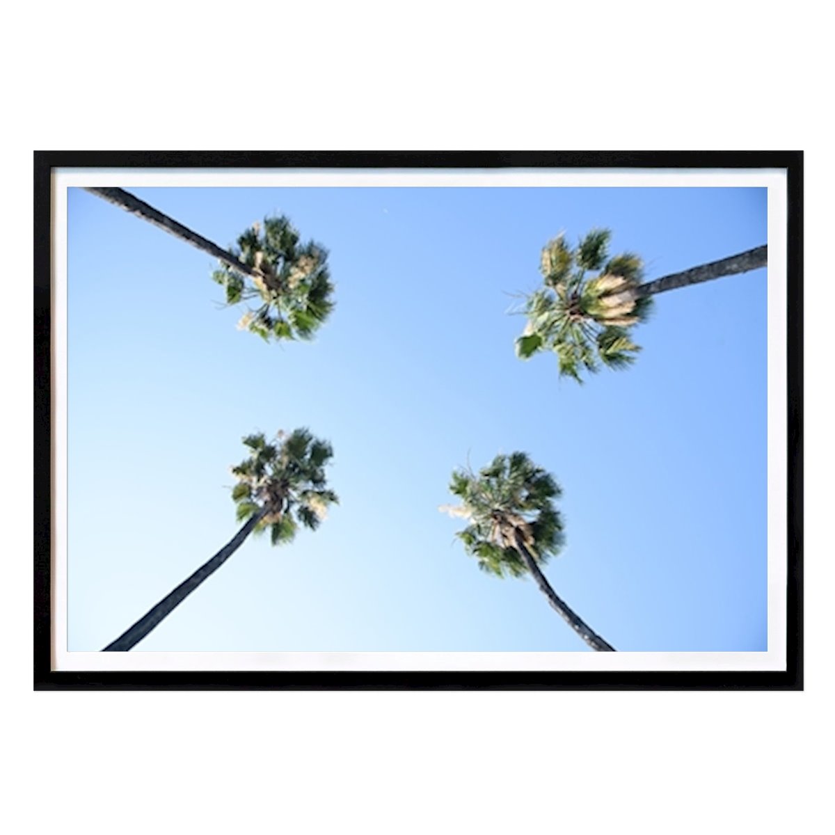 Natur Poster: Unter Palmen 1 von Anita's & Bella's Art