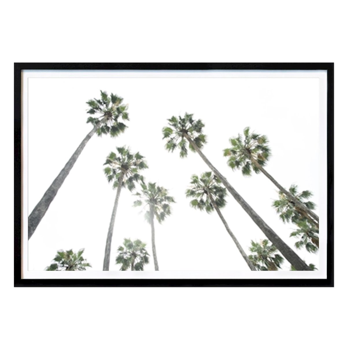 Animals Poster: Under the Palm Trees 2 by Anita's & Bella's Art