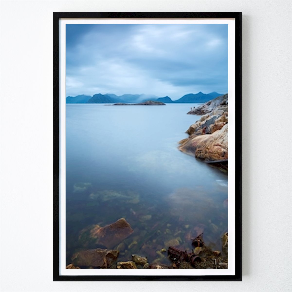 Nature Poster: GO FISH! by Ramin Golrokh