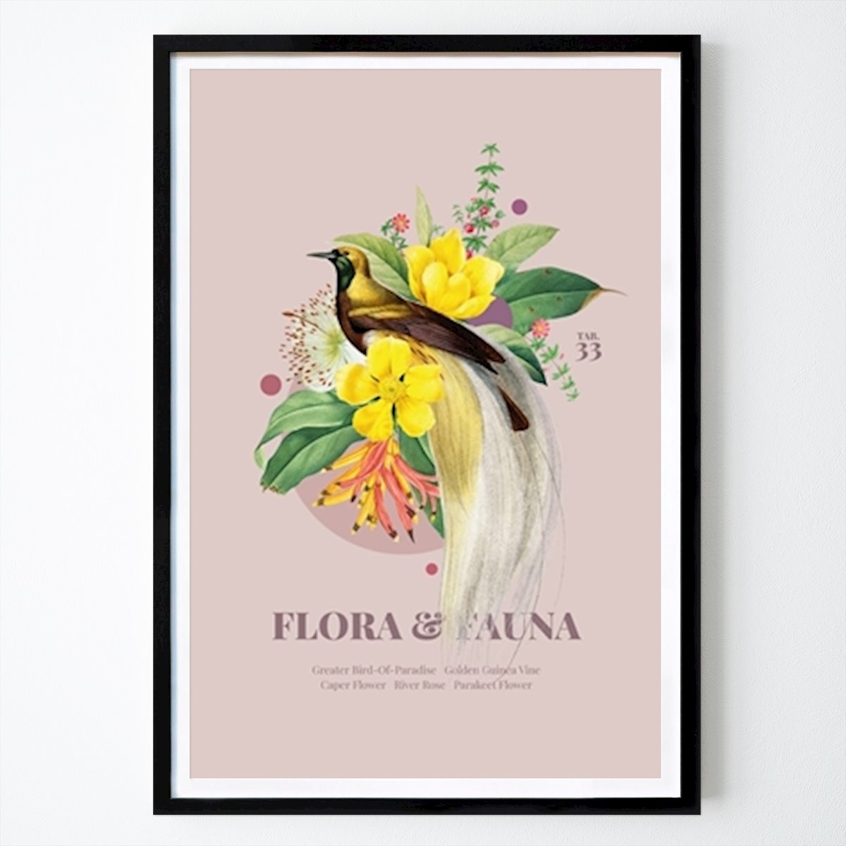 Retro & Vintage Poster: Flora & Fauna Bird of Paradise by Avis & Flos