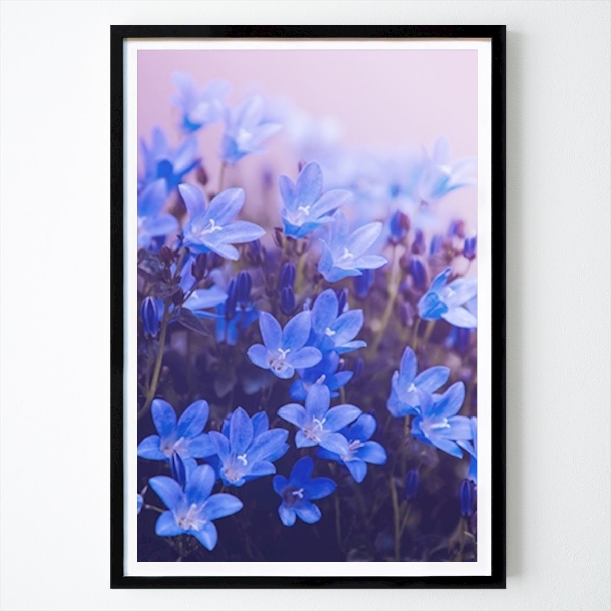 Kitchen Poster: Purple flowering plants by Vitold Drutel