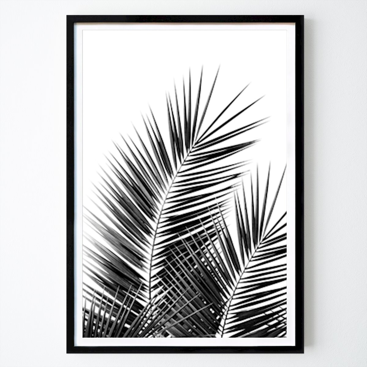 Przyroda Plakat: Black Palm Leaves Dream - Cali autorstwa Anita's & Bella's Art
