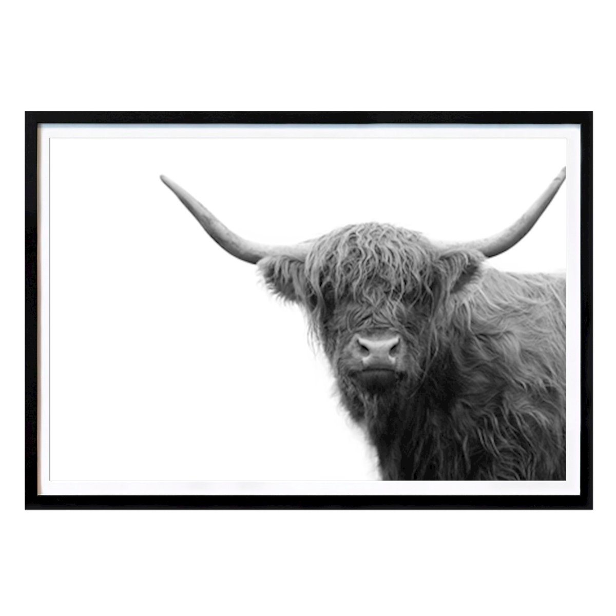 Byer & Steder Plakat: Highland Cow Svart-hvitt 4 av Anita's & Bella's Art
