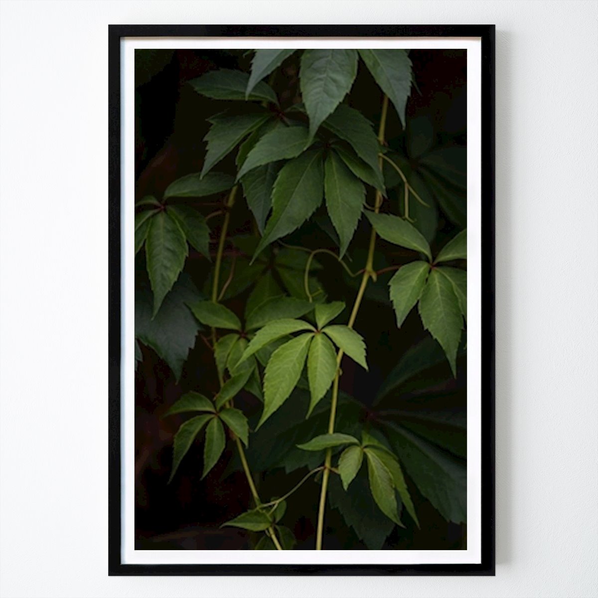 Cuisines Affiche: Vin sauvage par Edith Nero