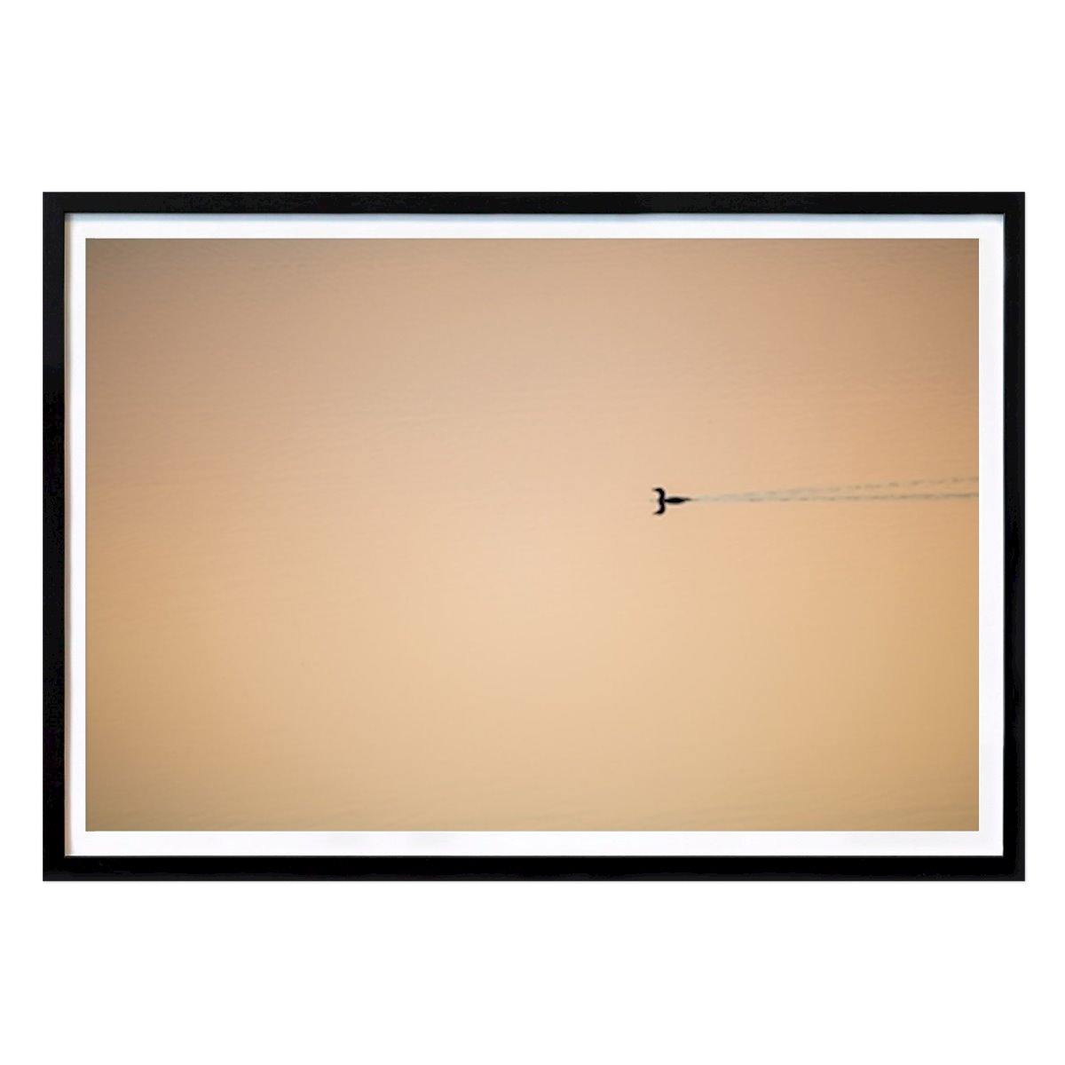 Kitchen Poster: Arctic Loon At Sunrise by Joakim Stolt