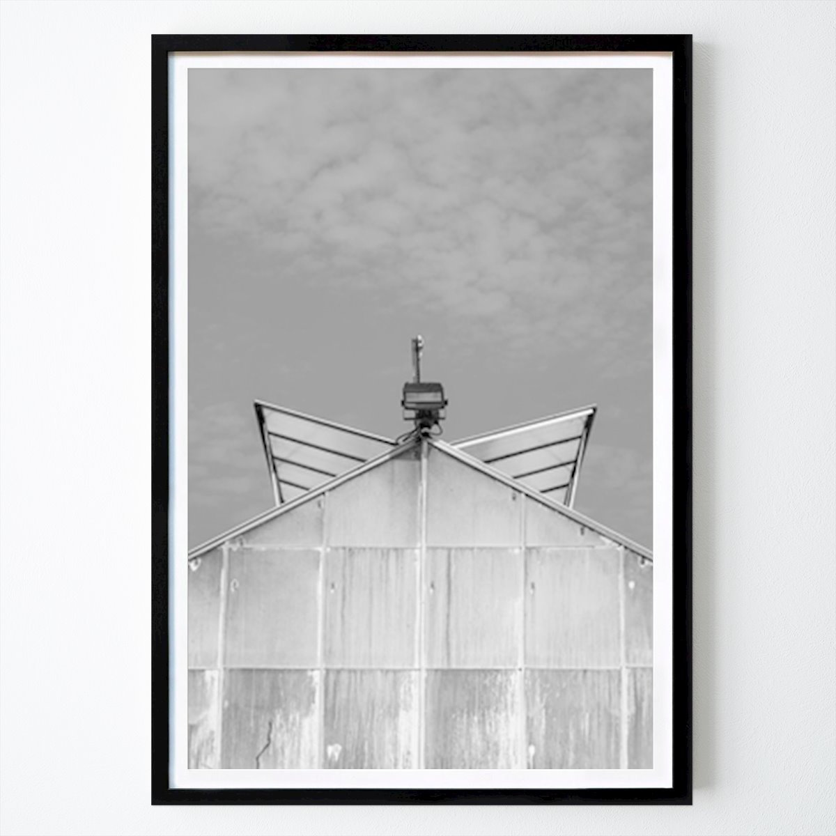 Botaniske Plakat: Symmetri av et drivhus bnw av Alexander Brandstedt