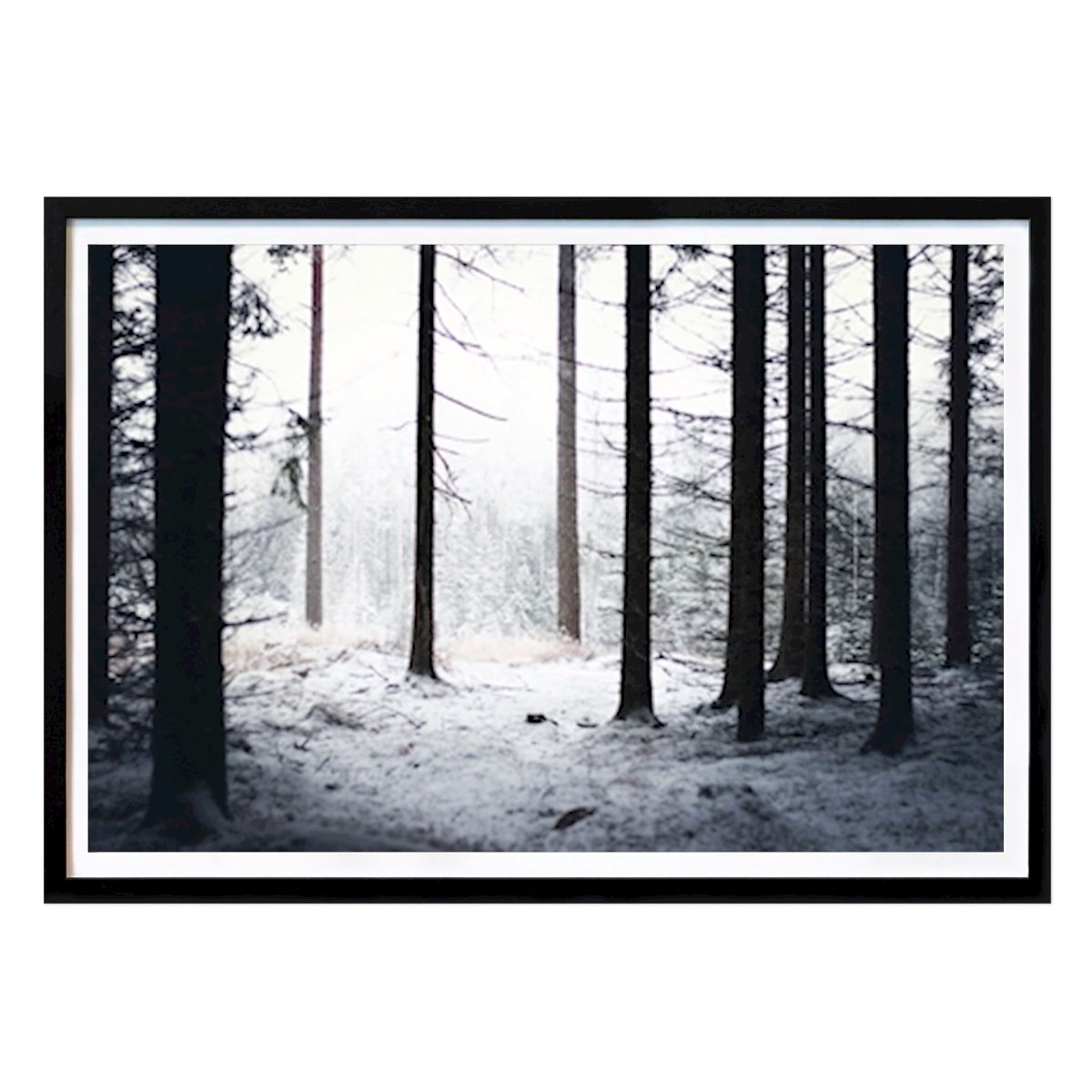 Natur Plakat: Lys glade av Maria Wiktorén