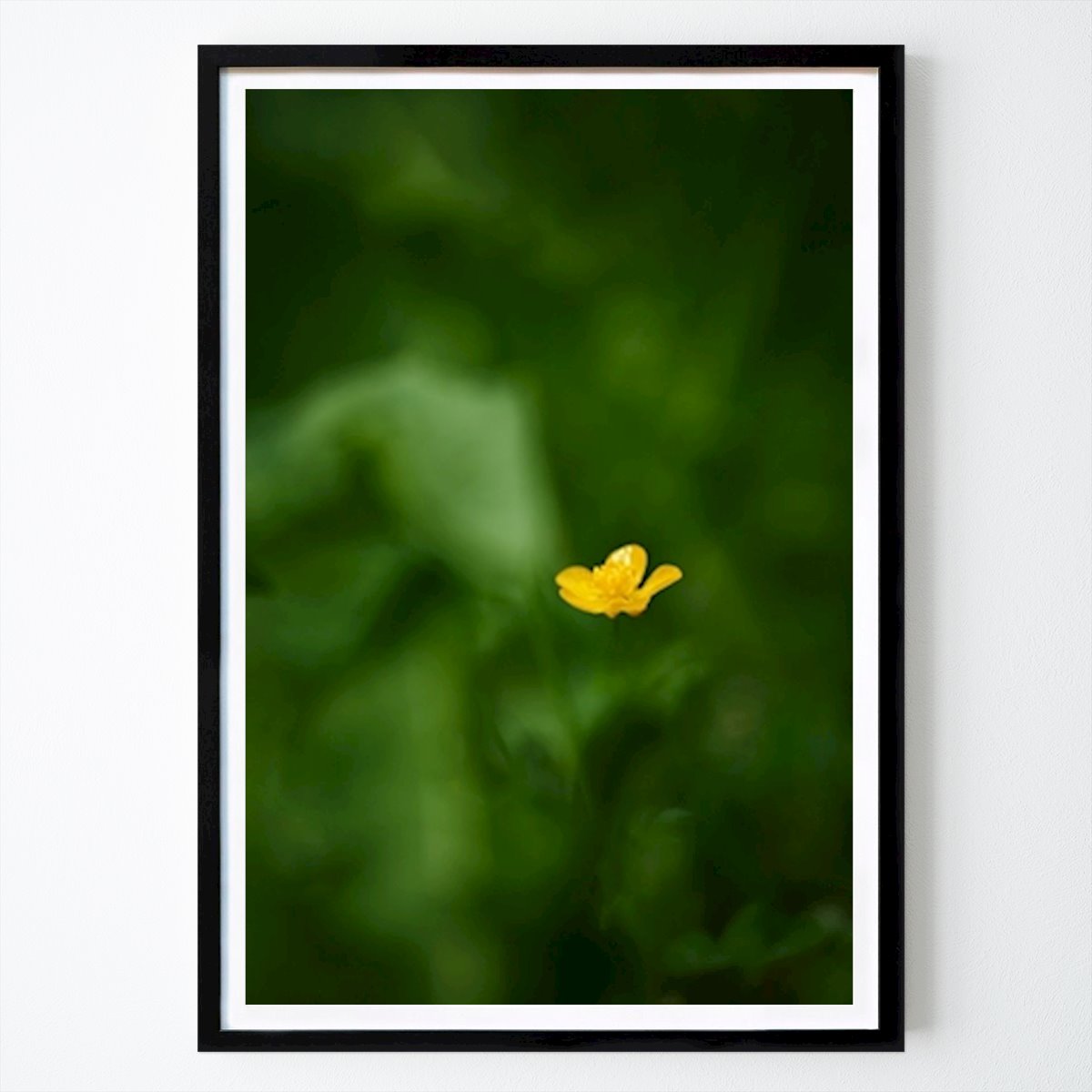 Botanical Poster: A buttercup in the grass by Brix Photo