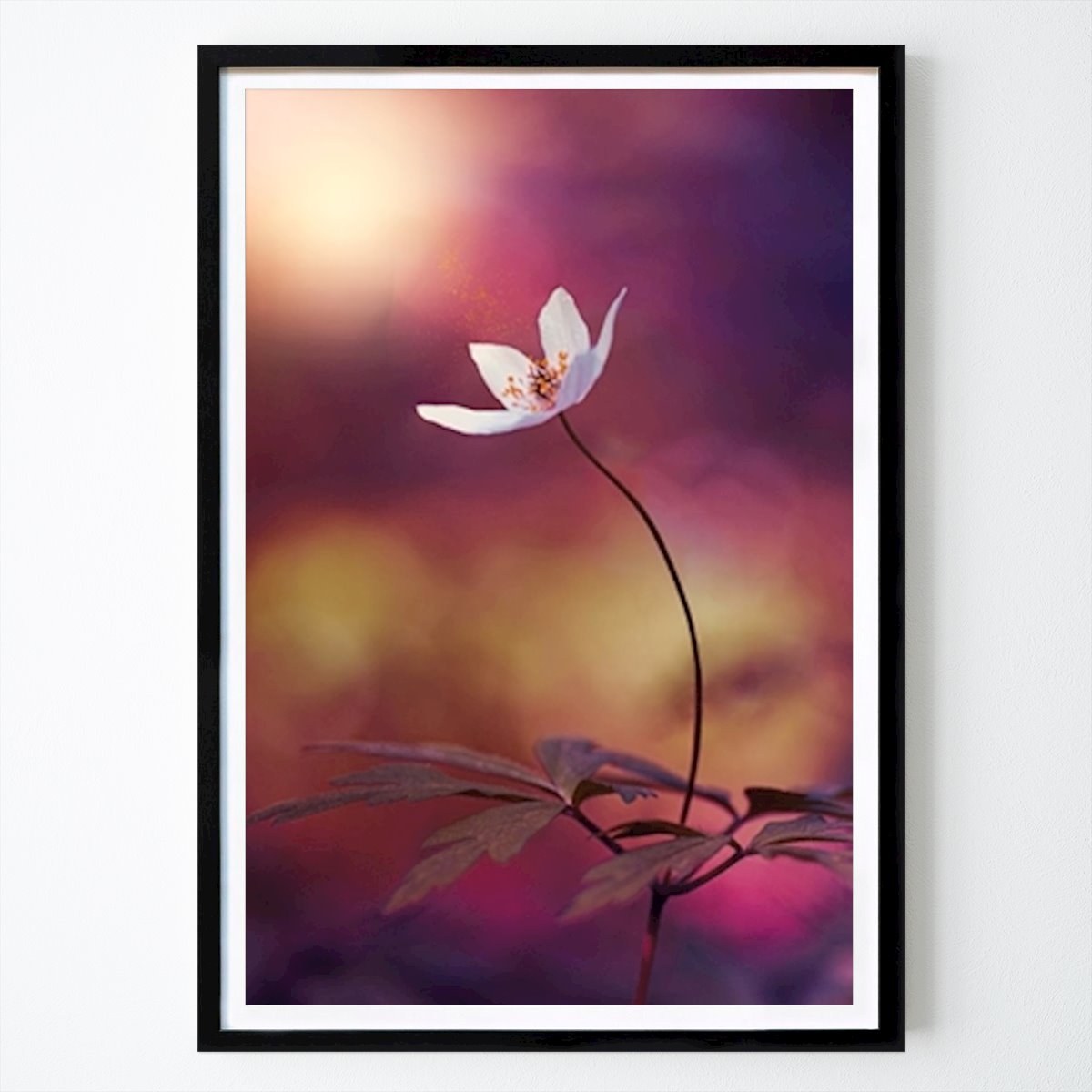 Nature Affiche: Brillance de la fleur par Vitold Drutel