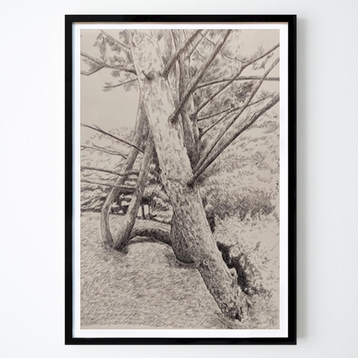 People & Portrait Poster: Tree by Tommy Johnsen