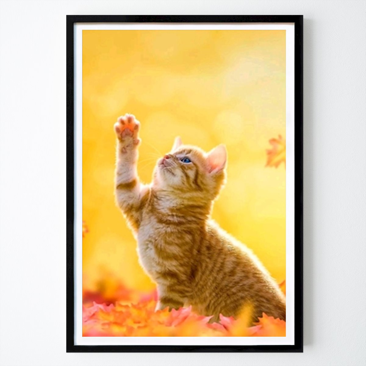 Tier Poster: Kätzchen von Muhammad Bagir