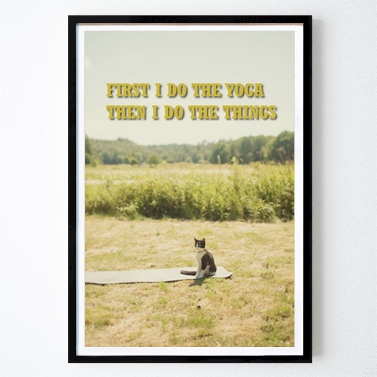 Yoga Plakat: Zen-mester av Sofia holmberg