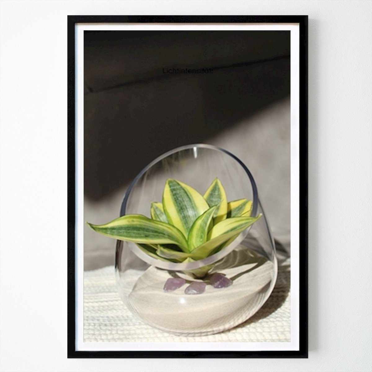 Botanical Poster: Snake plant by Cyana Pompeo Schuster