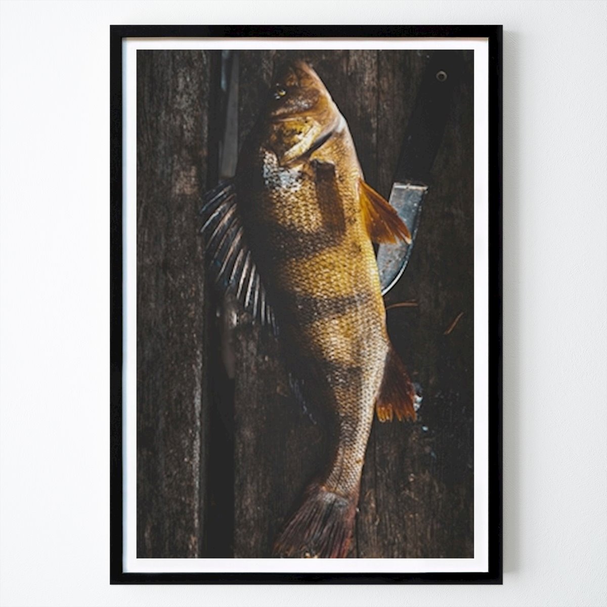 Kitchen Poster: Perch by Johan Karlsson