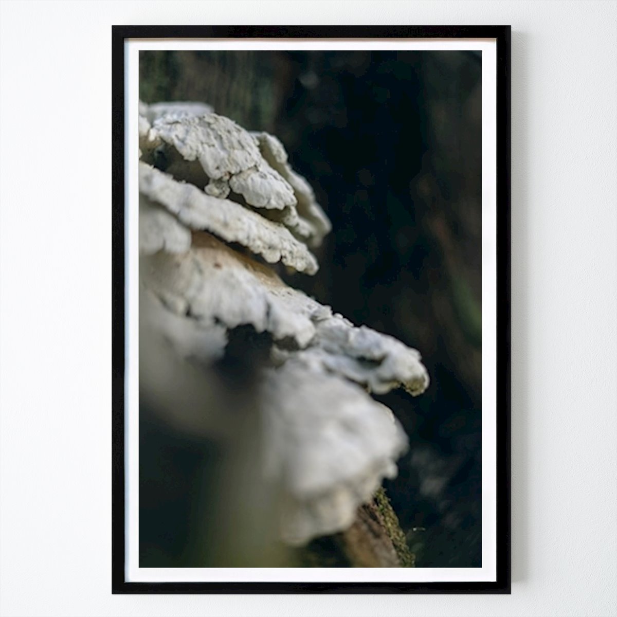 Lazer Poster: Cogumelo bonito na natureza. de Sebastian Freed-Karlsson