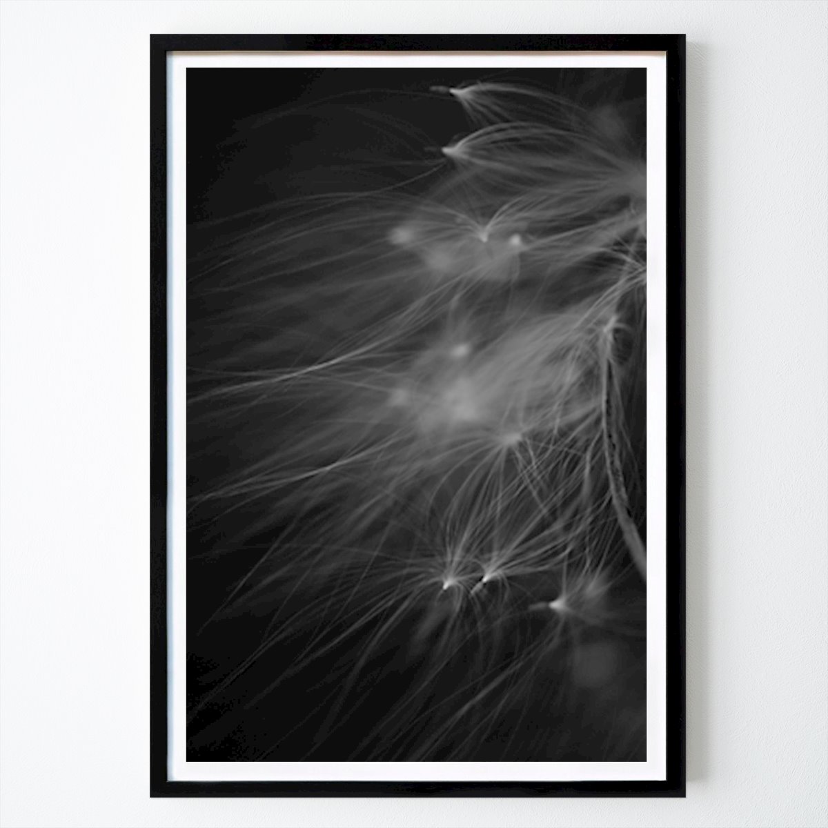 Fotokonst Poster: Gracefulness I av Maria