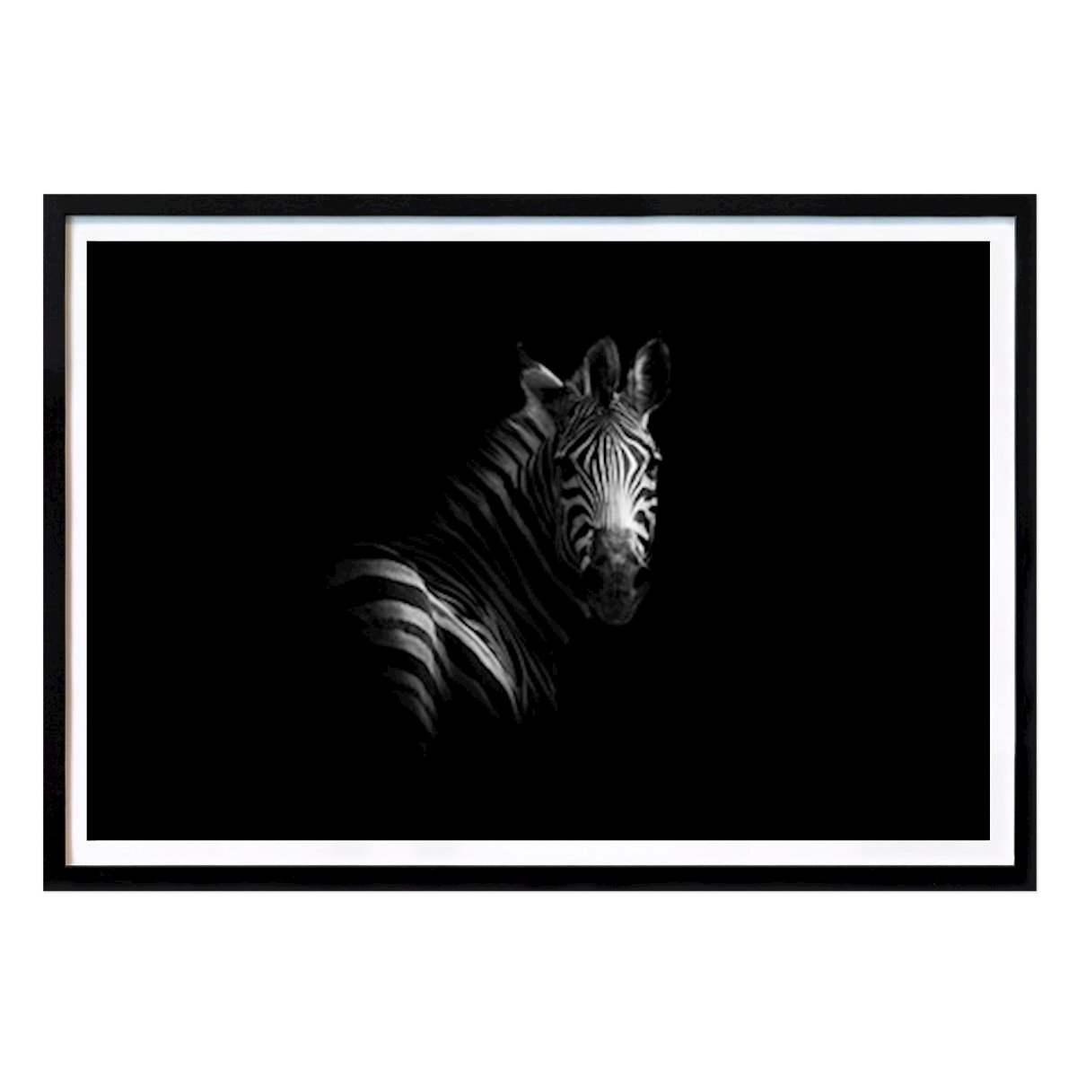 Preto e branco Poster: Zebra Preto & Branco de Lars Björk