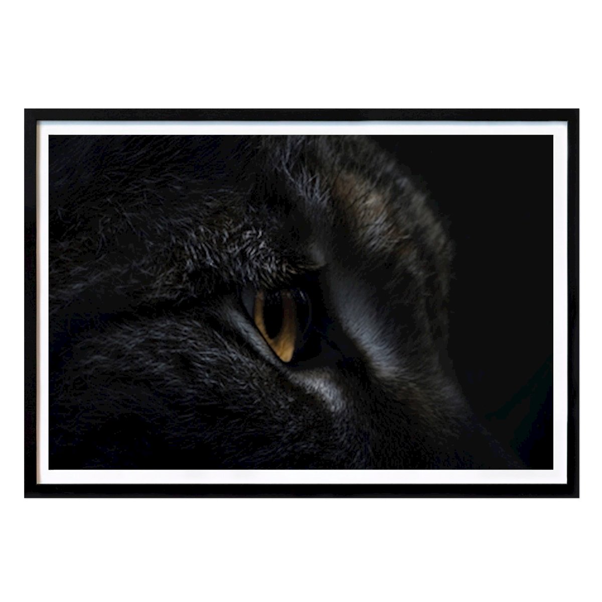 Animal Affiche: Gros plan - Lynx à la chasse par Nils Hornschuh