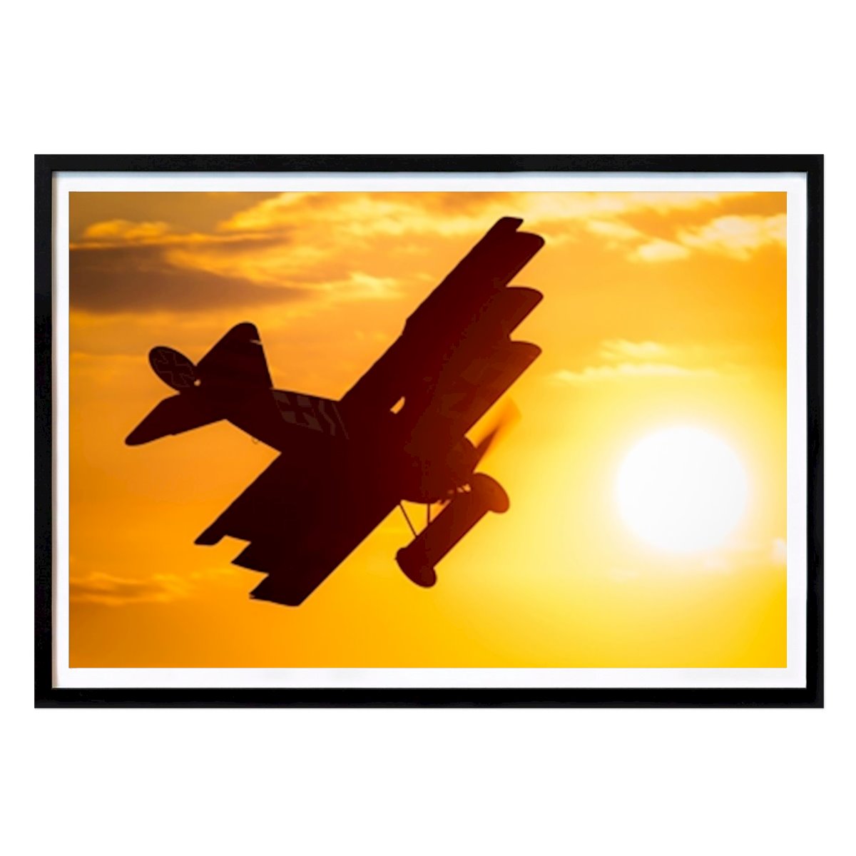 Retro & Vintage Poster: Classic Airplane in sunlight by Michael Priesch