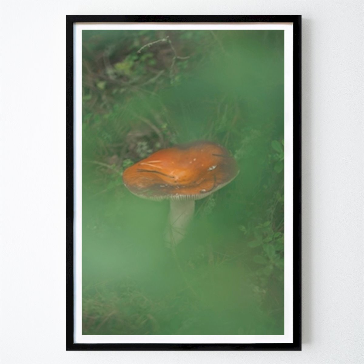 Natur Plakat: Svampe i skoven av Malin Haarala