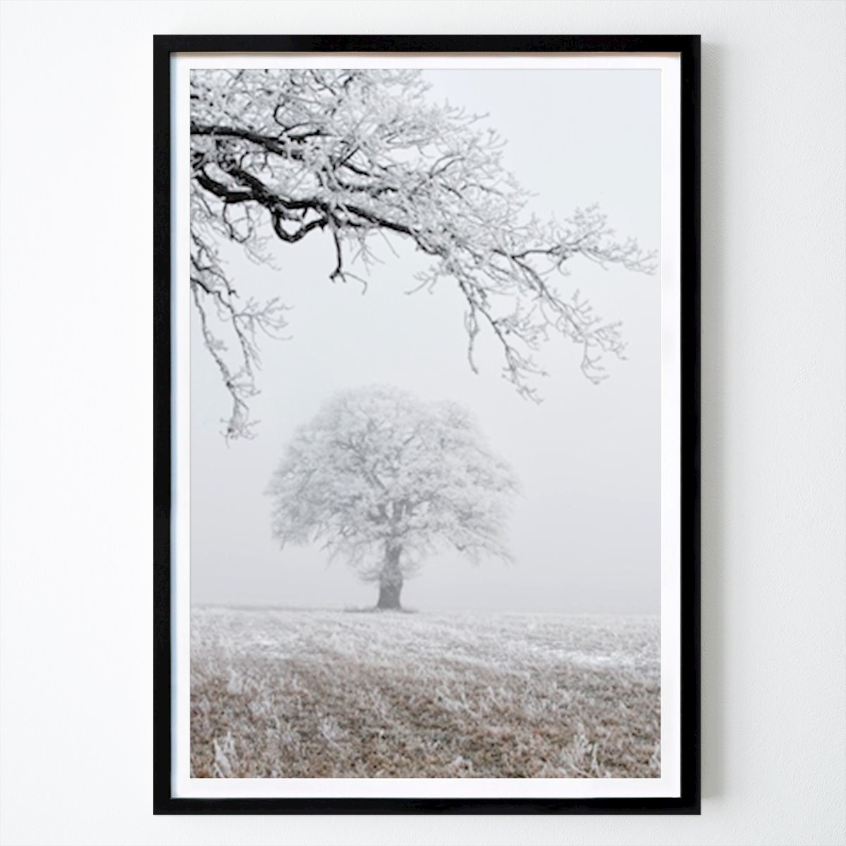 Villes & Pays Affiche: CHÊNE BLANC II par Christer Sjöberg