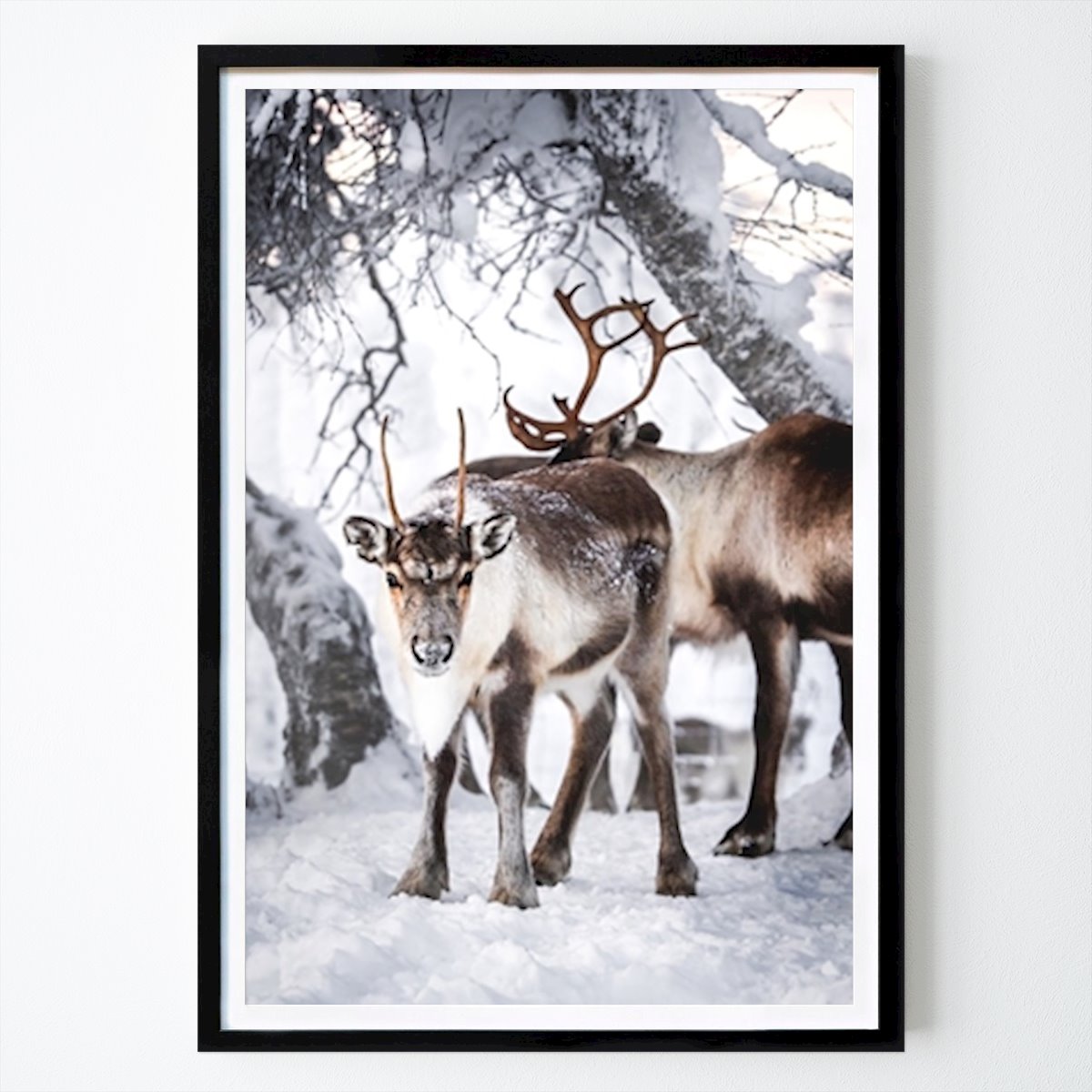 Places & Cities Poster: The little cute one... by Lena Wiik