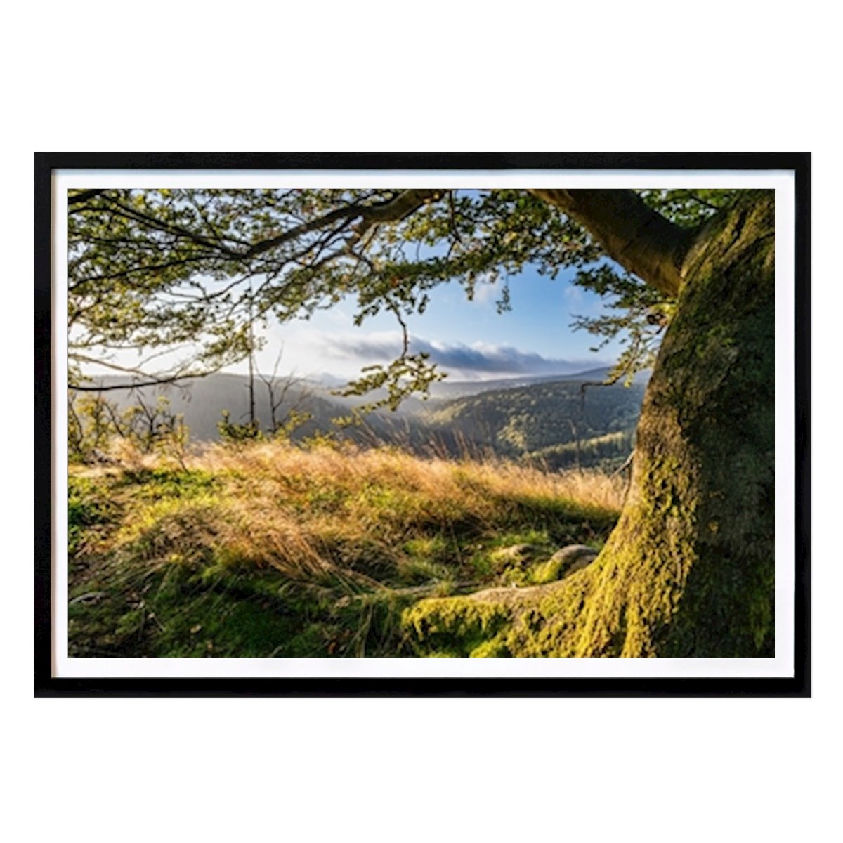 Naturaleza Póster: Sunrise de Guido Becker