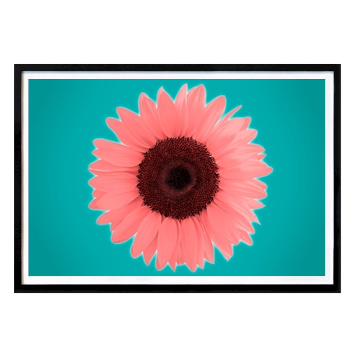 Kwiaty & Rośliny Plakat: Sunflower autorstwa Stephan Zaun