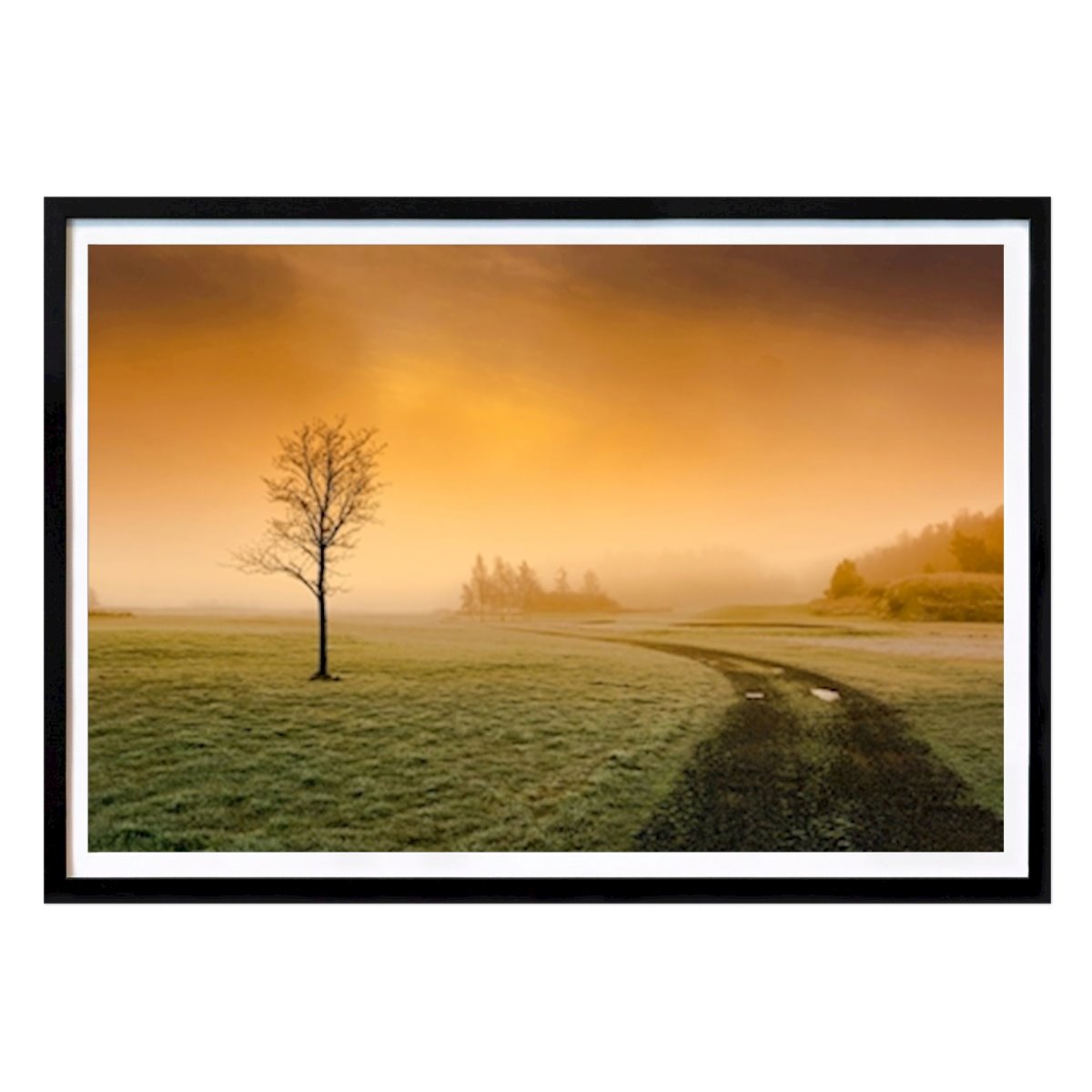 Nature Poster: Dreamscape by Timo Peter Grönlund