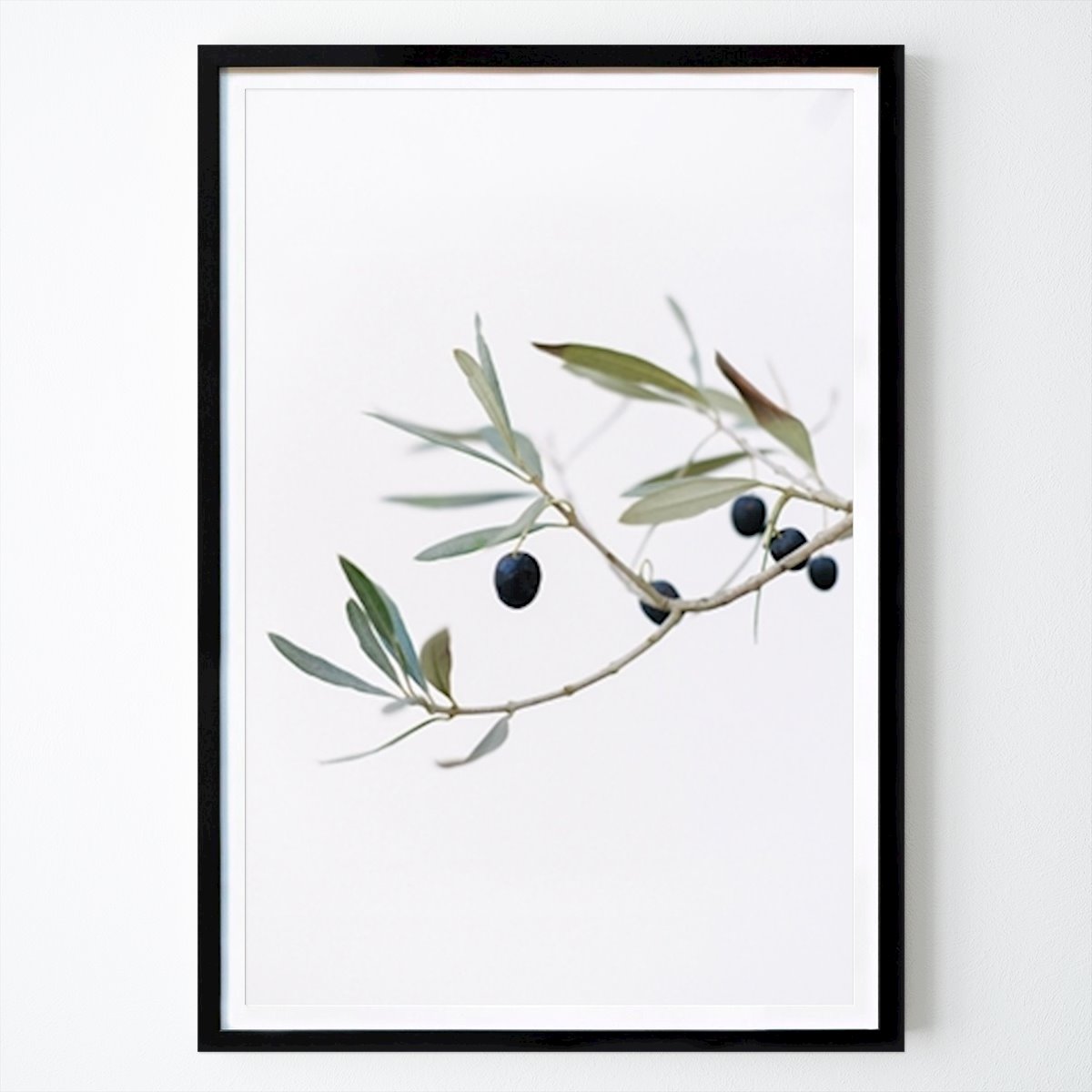 Kvety & Rastliny Plagát: Olive tree | Olive branches od Mirjam Broekhof
