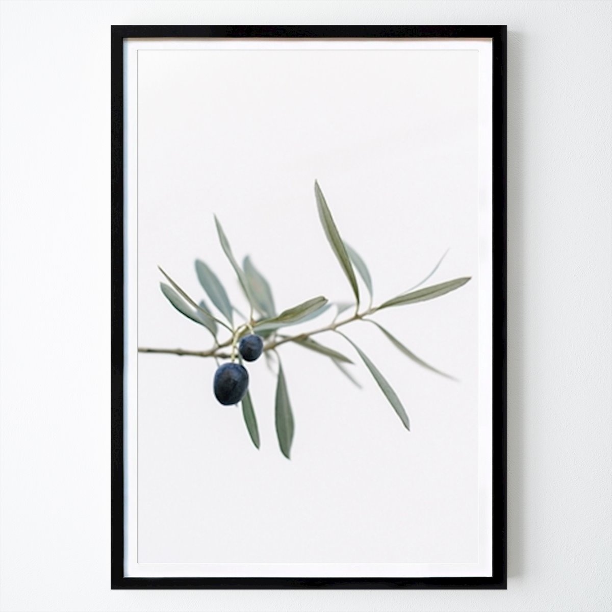 Nature Affiche: Olive tree | Olive branches par Mirjam Broekhof