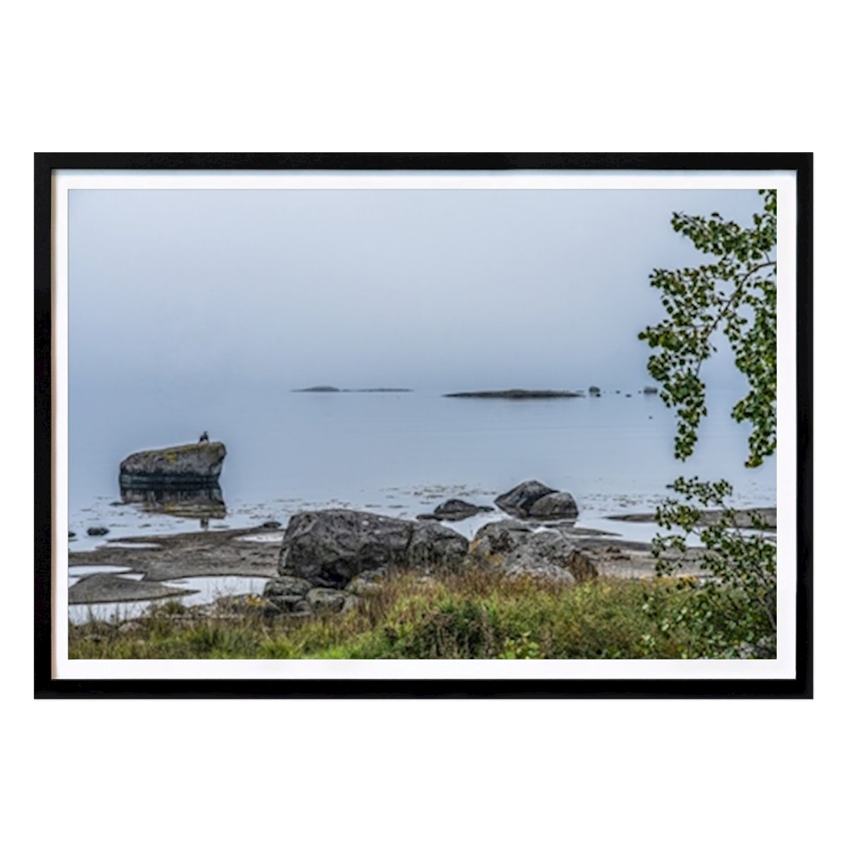 Animale Poster: Nebbia sul mare di Ingmar Holmberg