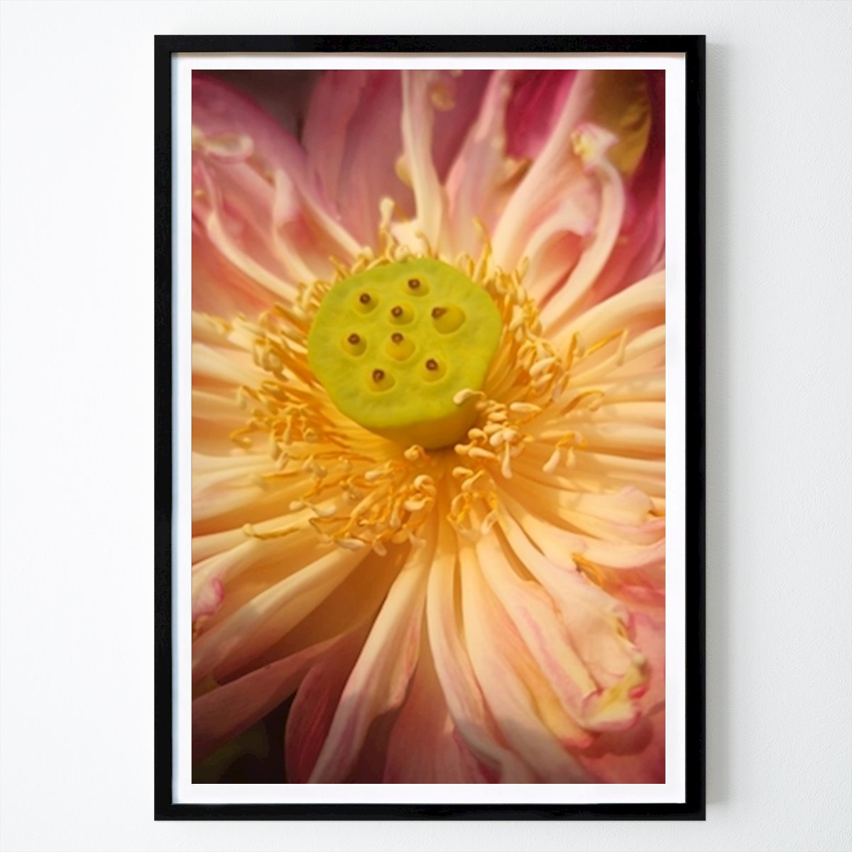 Flores & Plantas Poster: Lotus de Gunta Podina