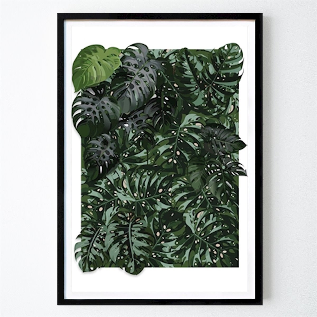Blumen & Pflanzen Poster: Grüne Monstera Pflanzen Wand von Simon Saulich