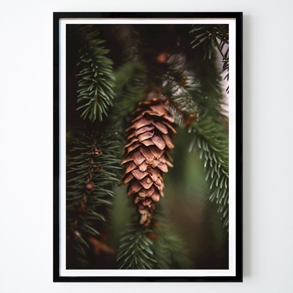 Luonto Juliste: Männynkäpy metsässä tekijänä Emelina Photography