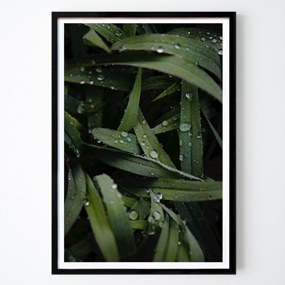 Naturaleza Póster: Waterdrop de Patrick Groß