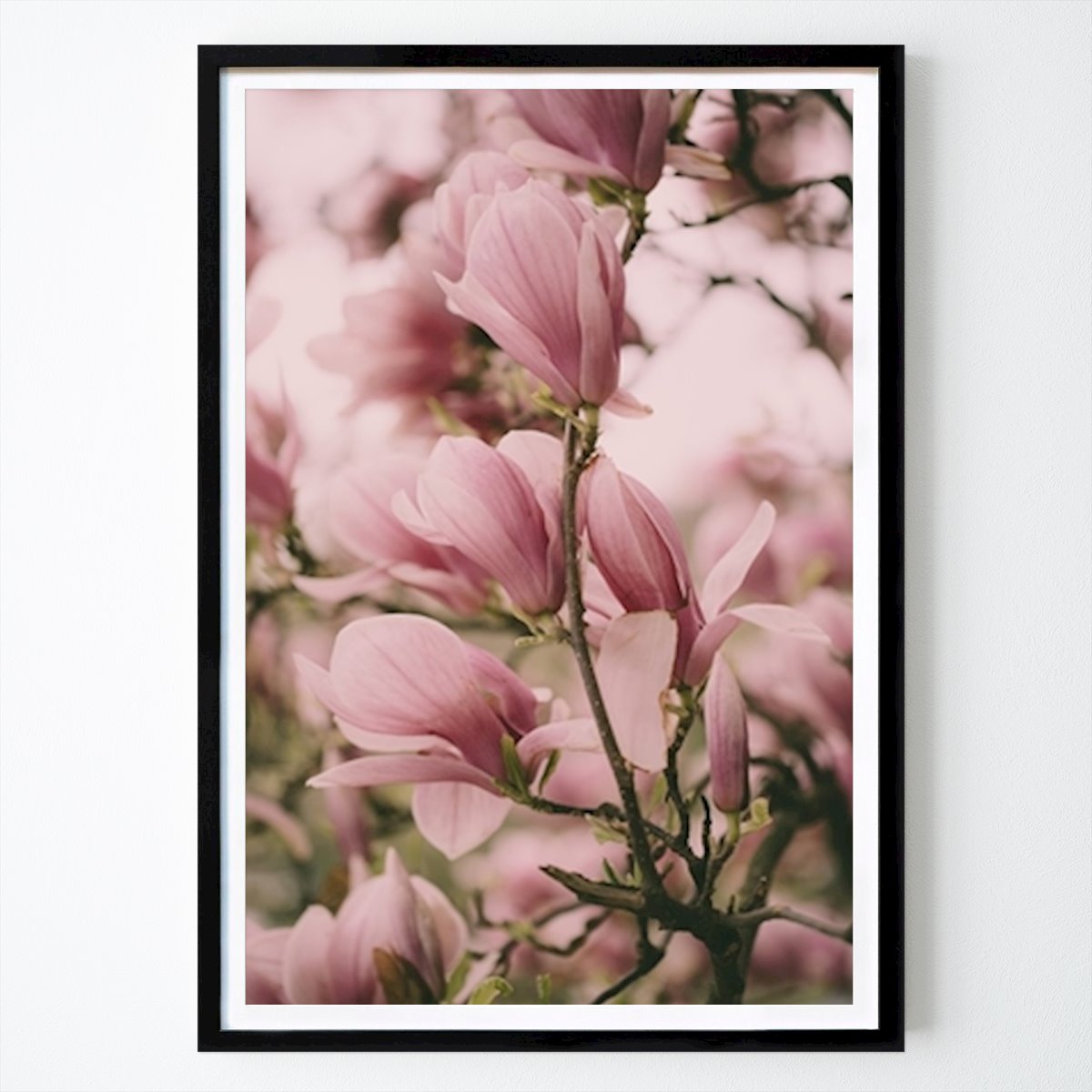 Natur Plakat: Blomstrende Magnolia gren av Edith Nero