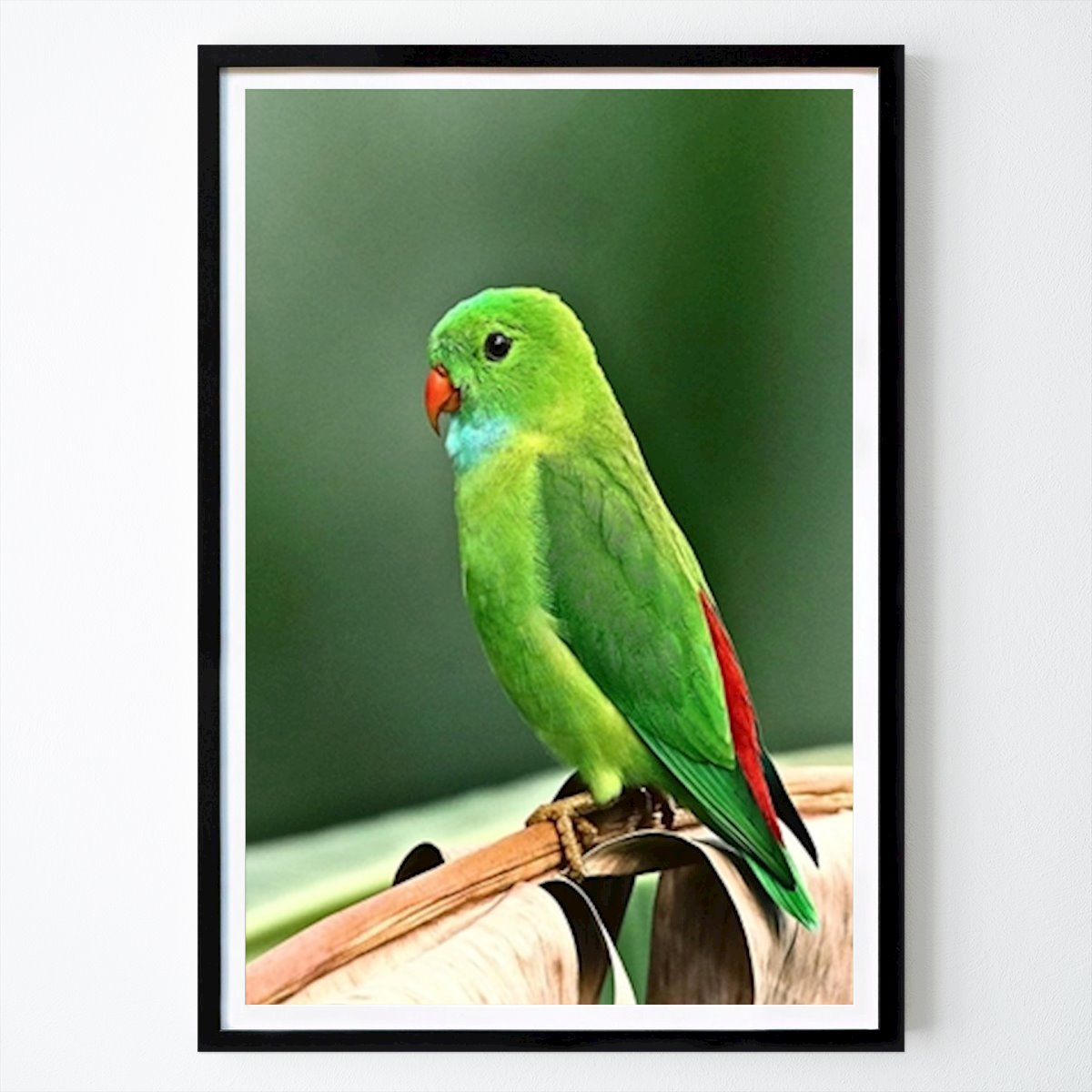 Animals Poster: Green Parrot by Painting Art