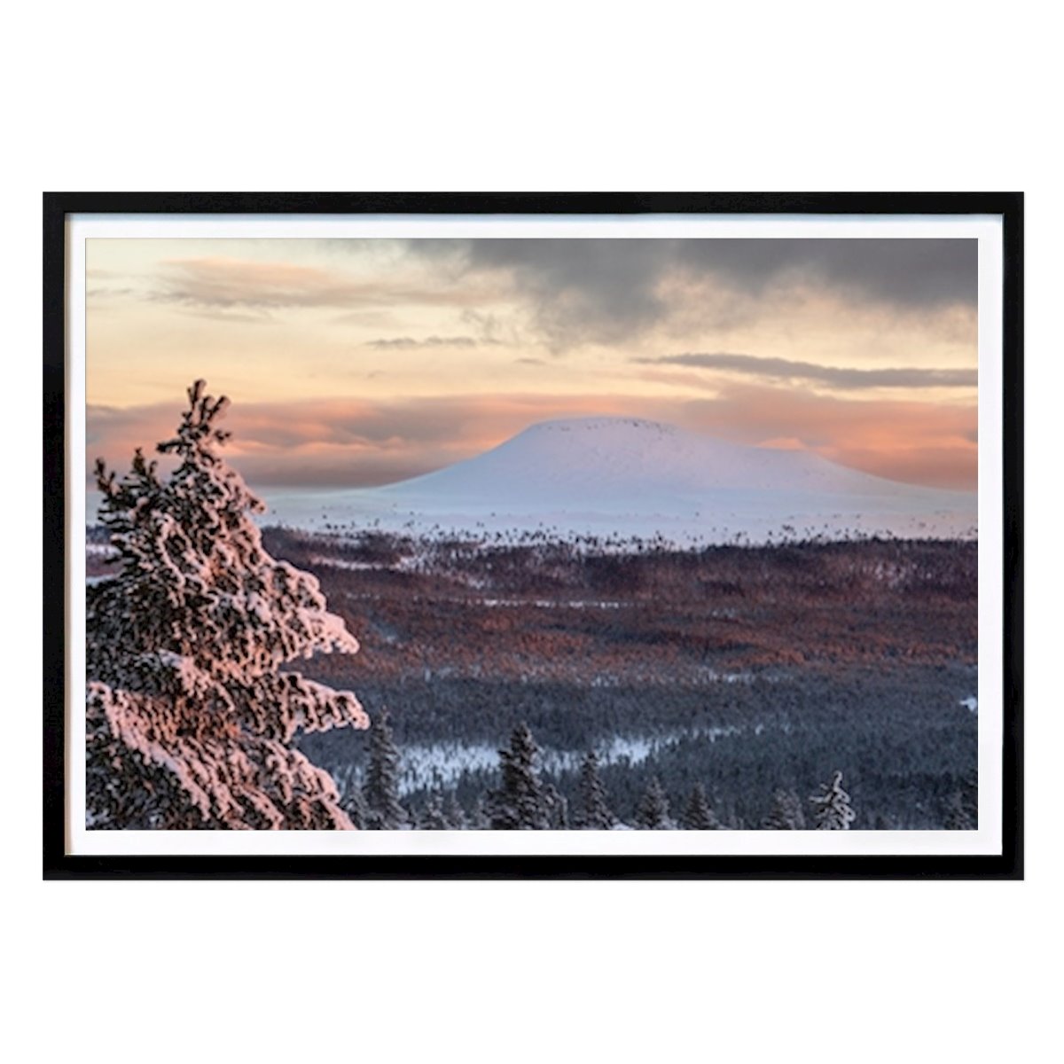 Nature Poster: Städjan, photo from Idre Fjäll by Tobias Grönberg