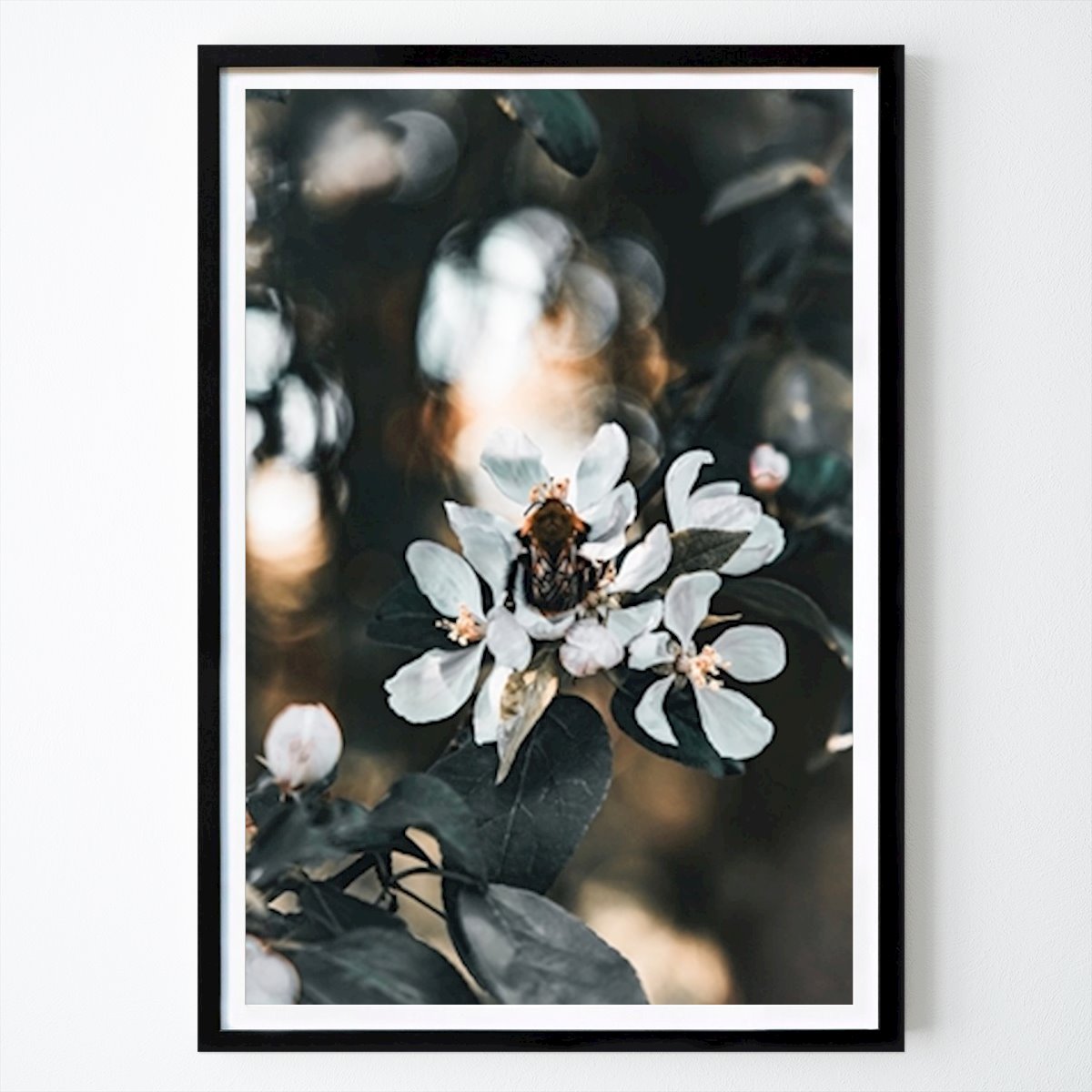 Animal Poster: Uma pausa na flor da maçã de Isabelle Samuelsson