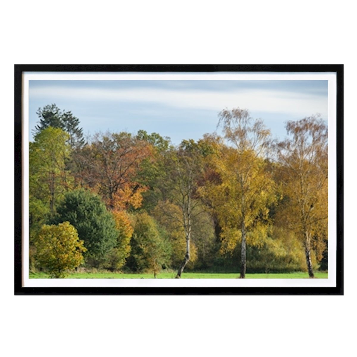 Natur Poster: Herbstbäume im Münsterland von Stephan Sühling